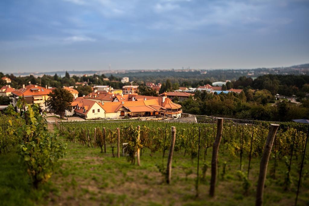 Vinice Salabka Lejlighed Prag